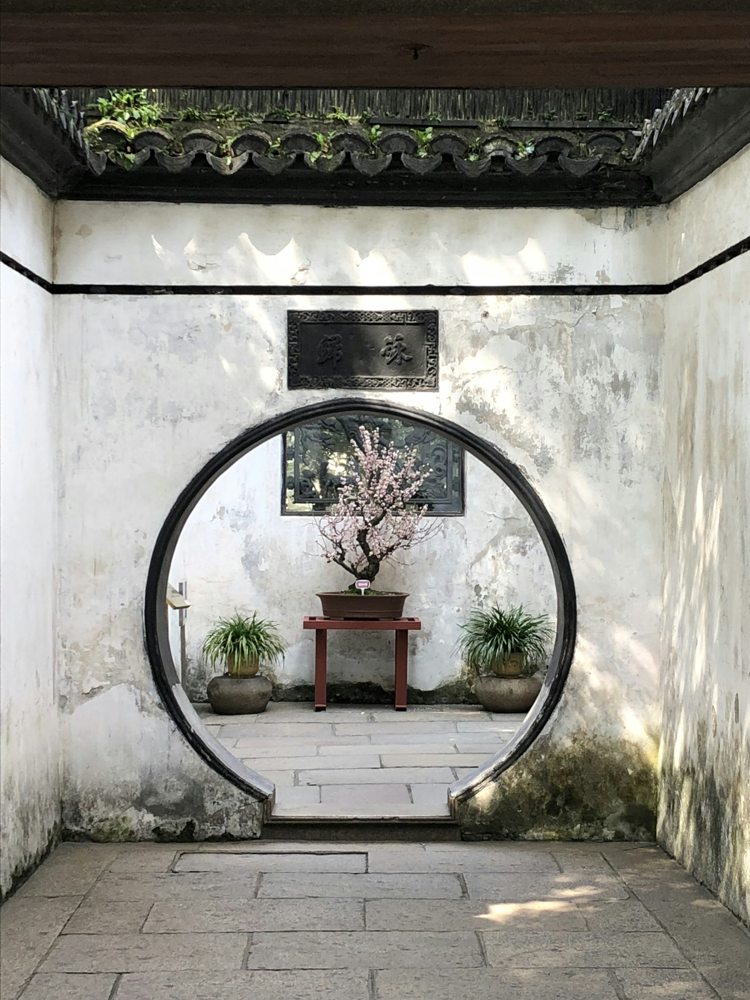 A circular doorway framing a flowering plant inside Yu Garden